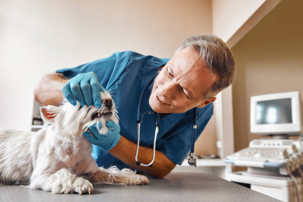 Best 24-Hour Emergency Dental Care in Bartonville, TX